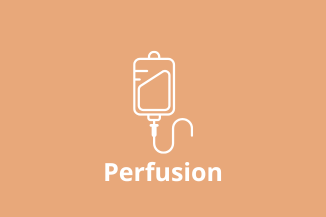 perfusion